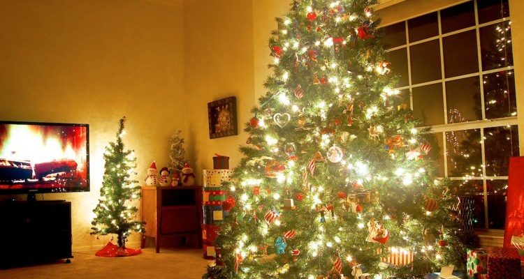 Los arboles de navidad