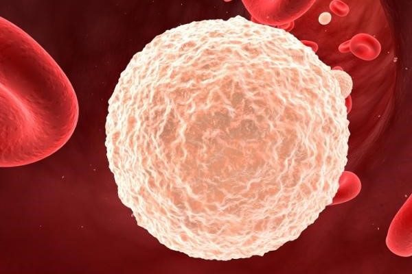 ¿Qué significan los leucocitos altos?