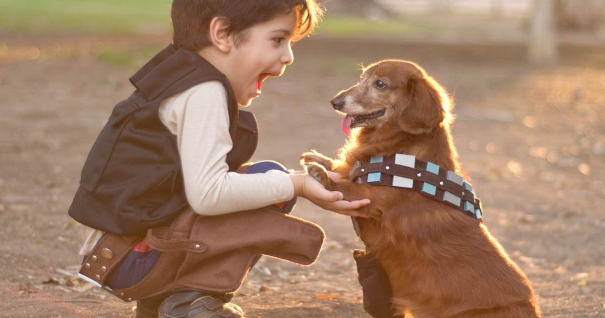niño perro familia