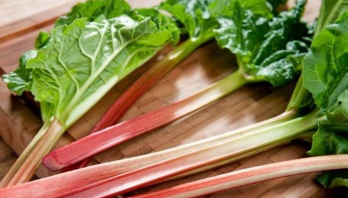 Conoce los beneficios de consumir ruibarbo