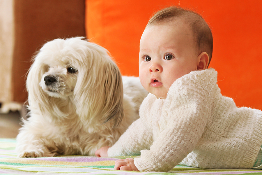 Perro y bebé