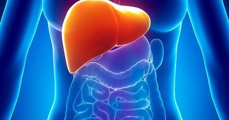 Consejos para limpiar tu hígado y mantenerlo sano